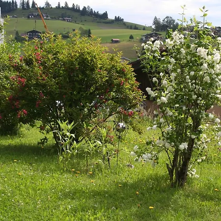 Bed & Breakfast Gastehaus Feldmannhof Abtenau