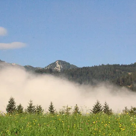 Gastehaus Feldmannhof 3*