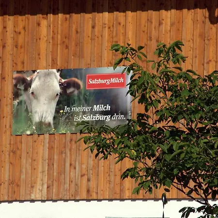 Gastehaus Feldmannhof Bed & Breakfast 3*
