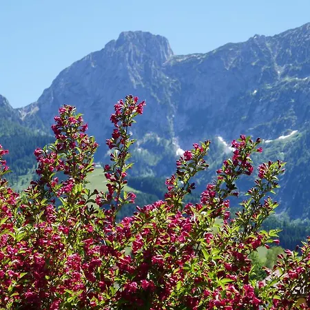 Bed & Breakfast Gastehaus Feldmannhof 3*